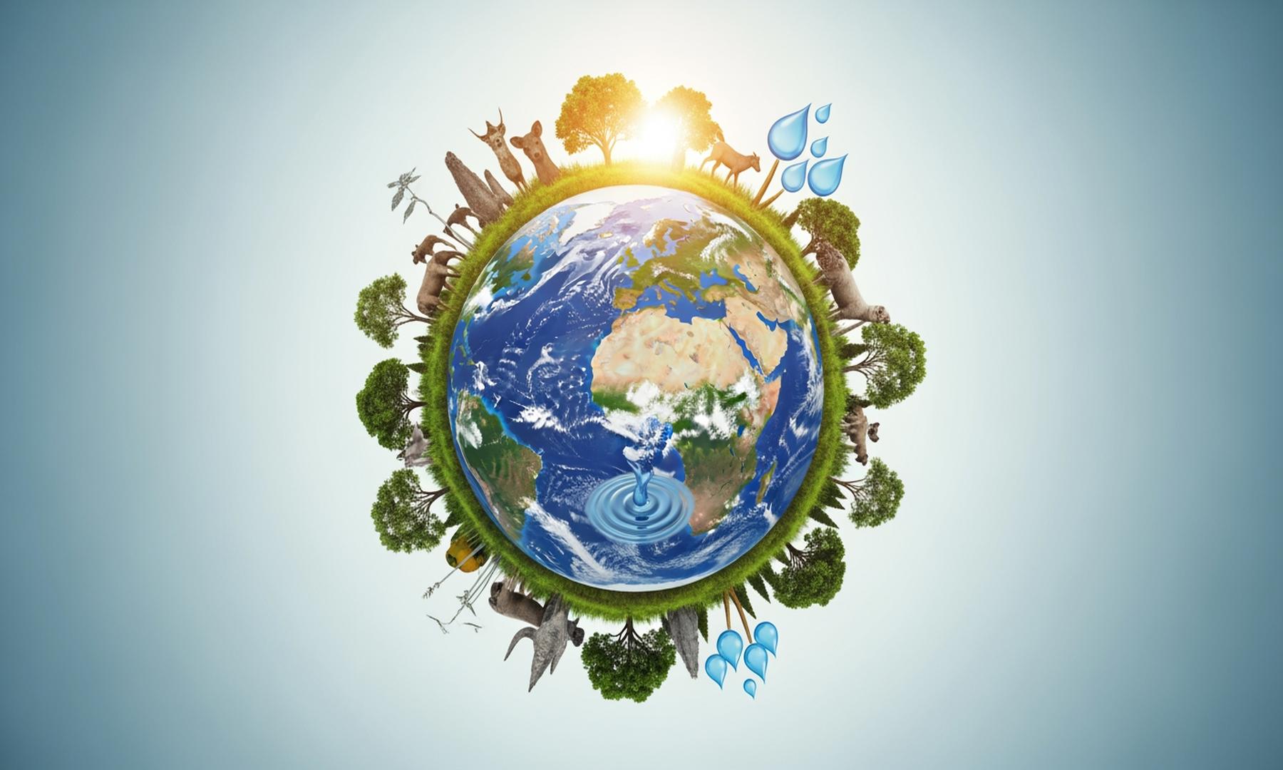 Mongabay Expands Fellowship Program to Empower Global Environmental Journalism