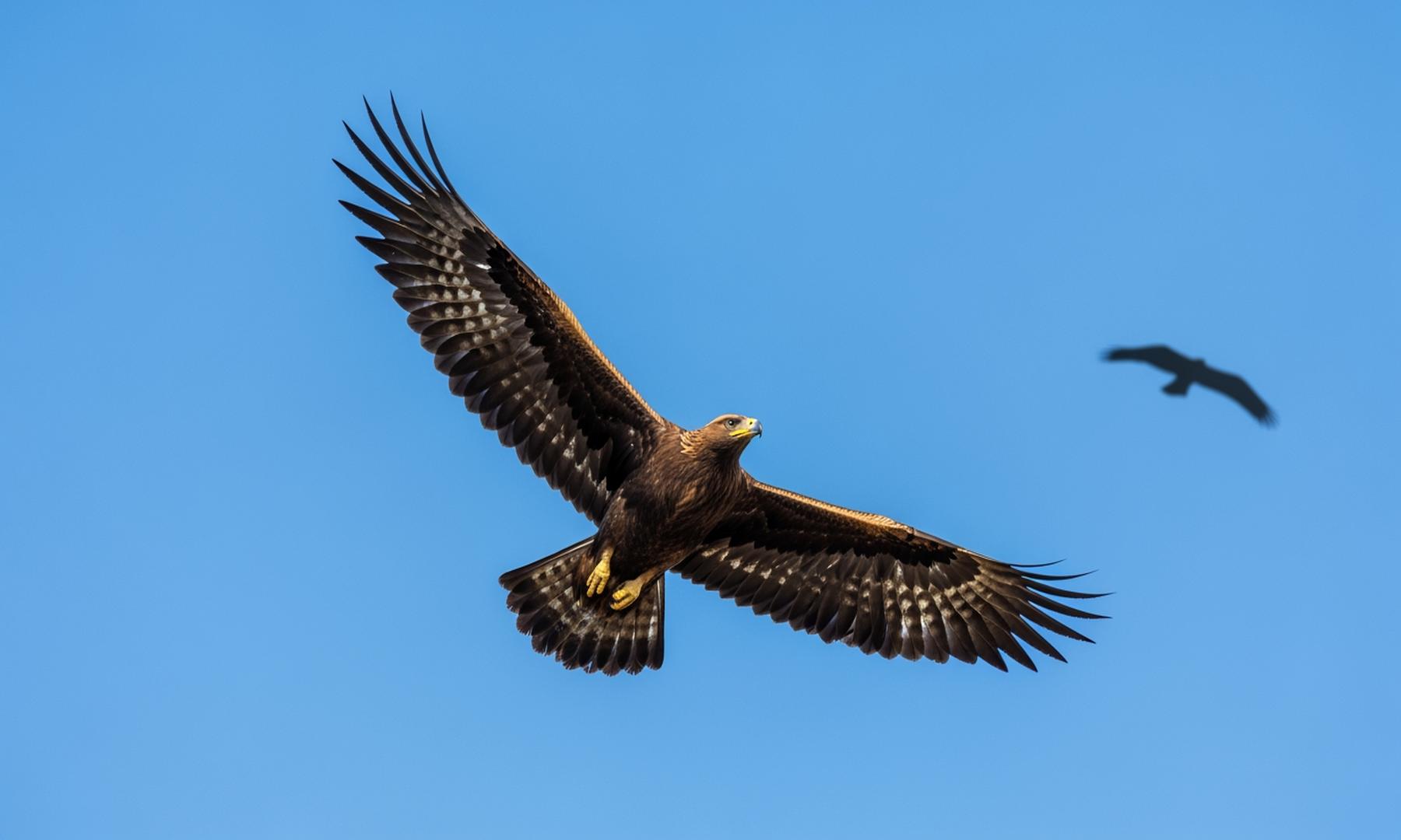 Luke Gray Leads Oral Roberts to Dominant Victory Over John Brown