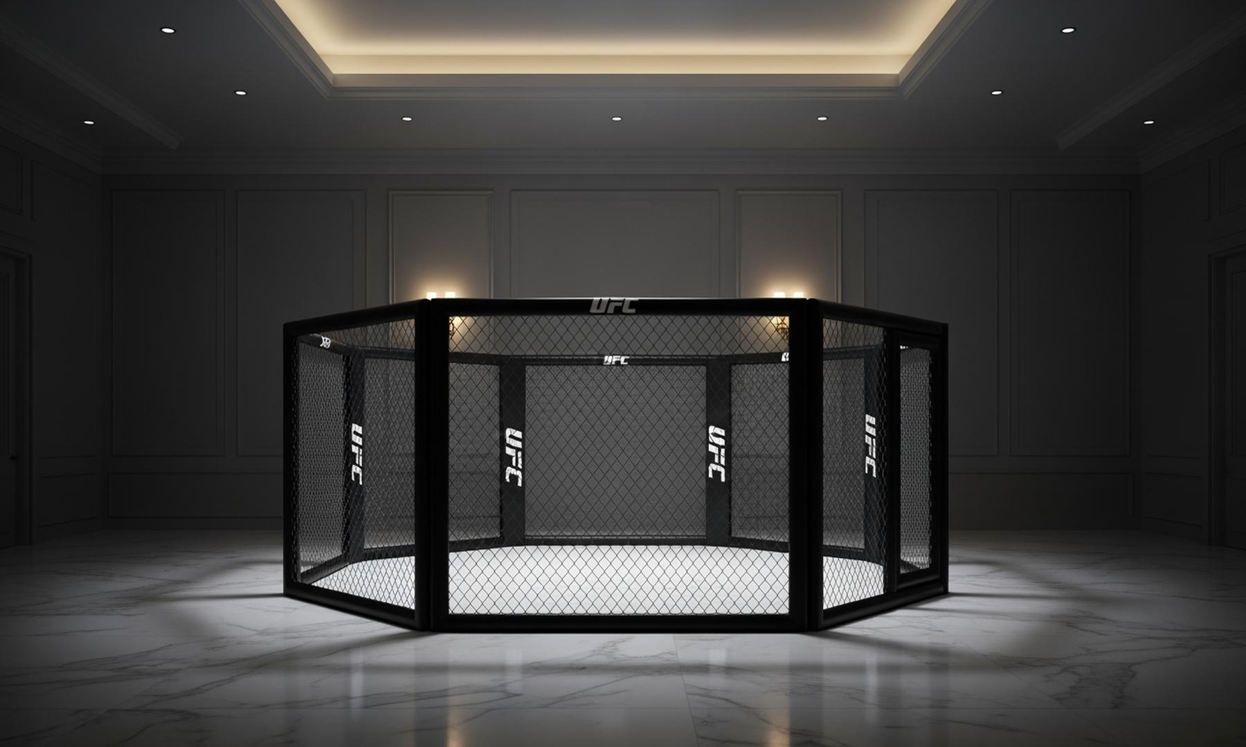 Dana White Faces Budget Challenges for Upcoming UFC White House Event