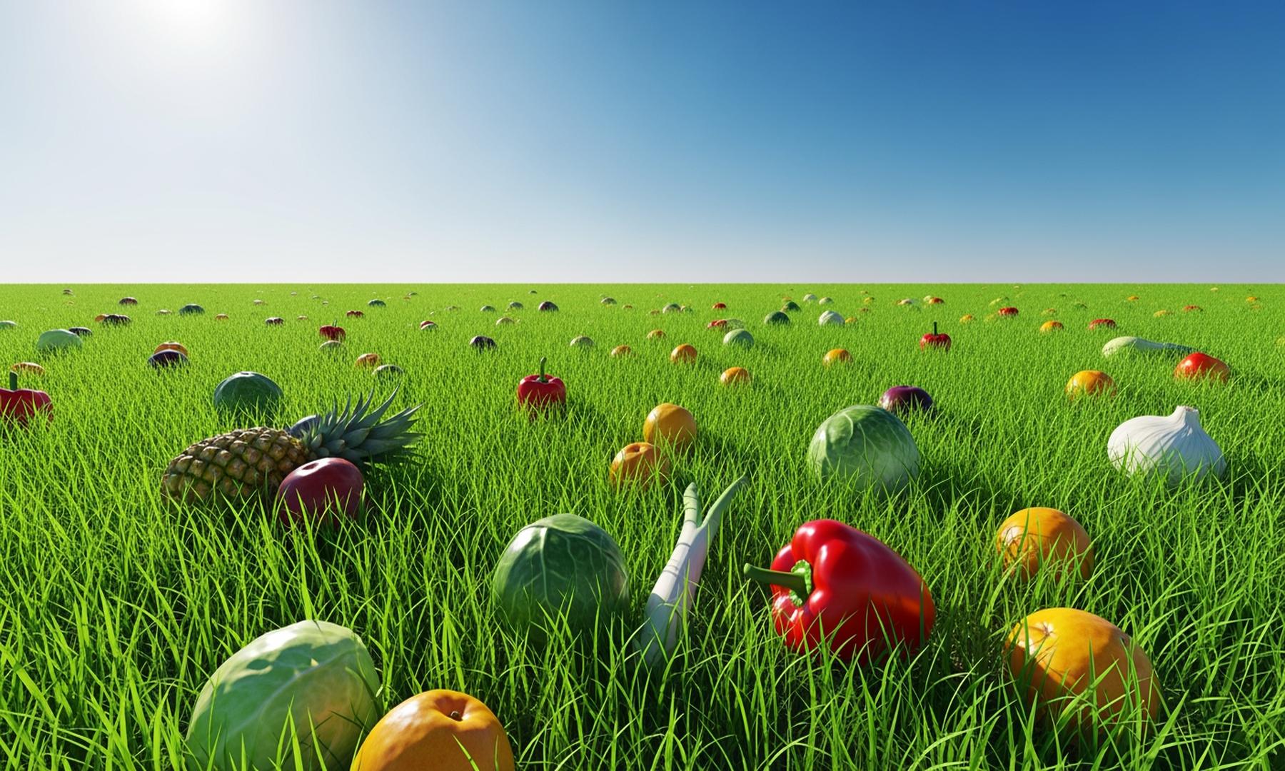 COP30 Highlights Urgent Need for Climate Action in Agriculture and Food Security