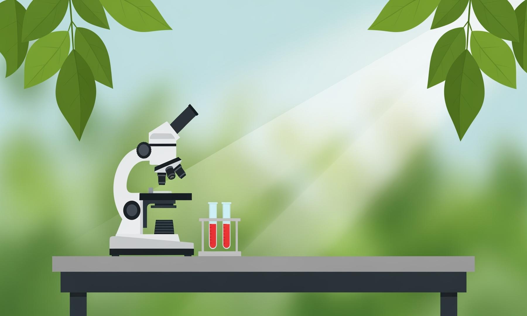 Government Plans to Phase Out Animal Experiments, Impacting Scientific Research