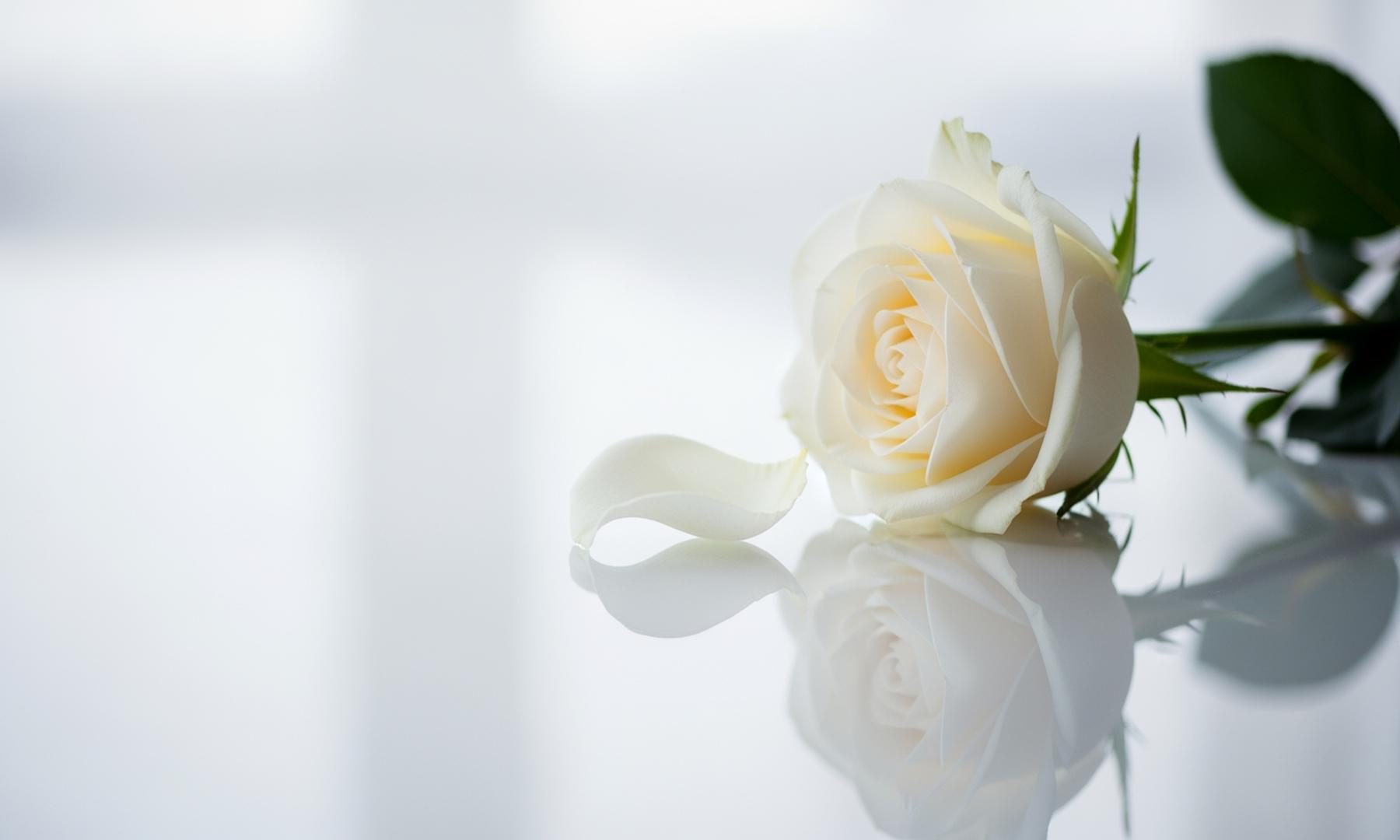 Florence Pugh Discusses Online Abuse Over Relationship with Zach Braff