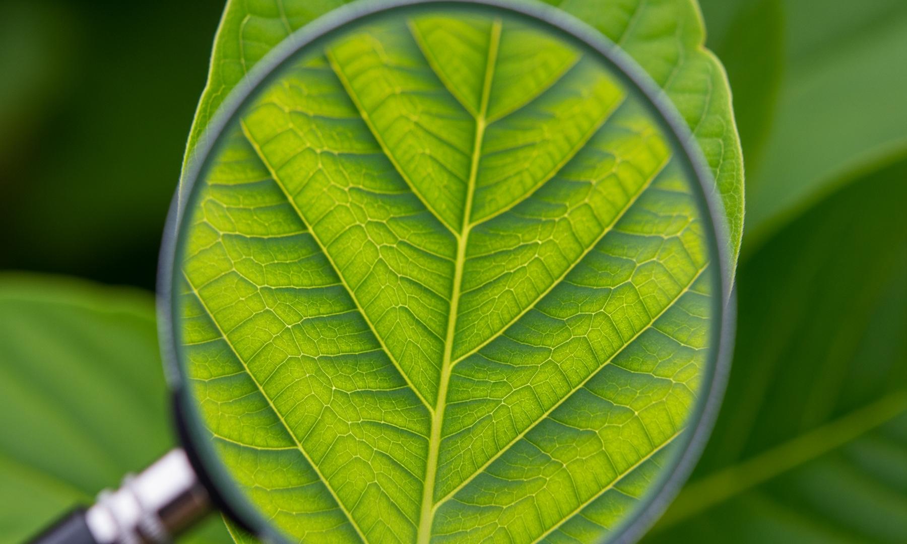 Corteva Introduces New Insect Control Solutions to Boost Crop Yields