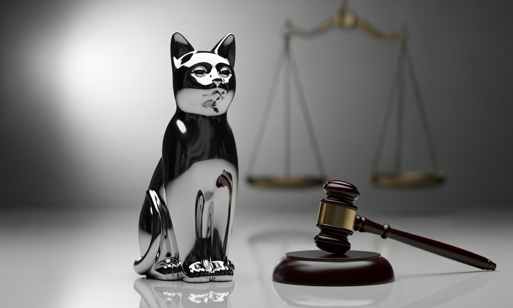 Catturd Faces New Legal Troubles, Sparks Outcry in MAGA Community