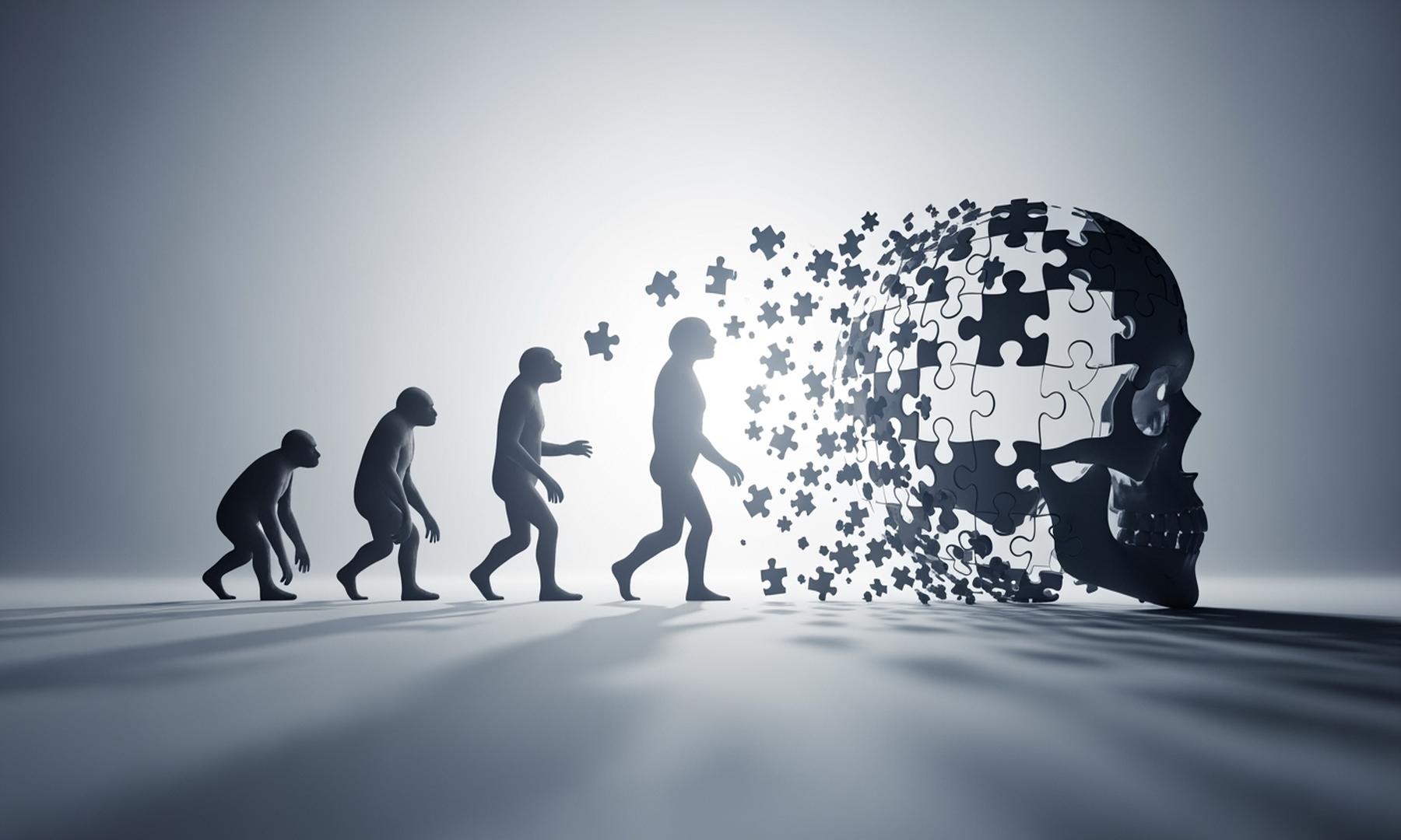 UCL Study Reveals Rapid Evolution of Human Skulls Compared to Other Apes