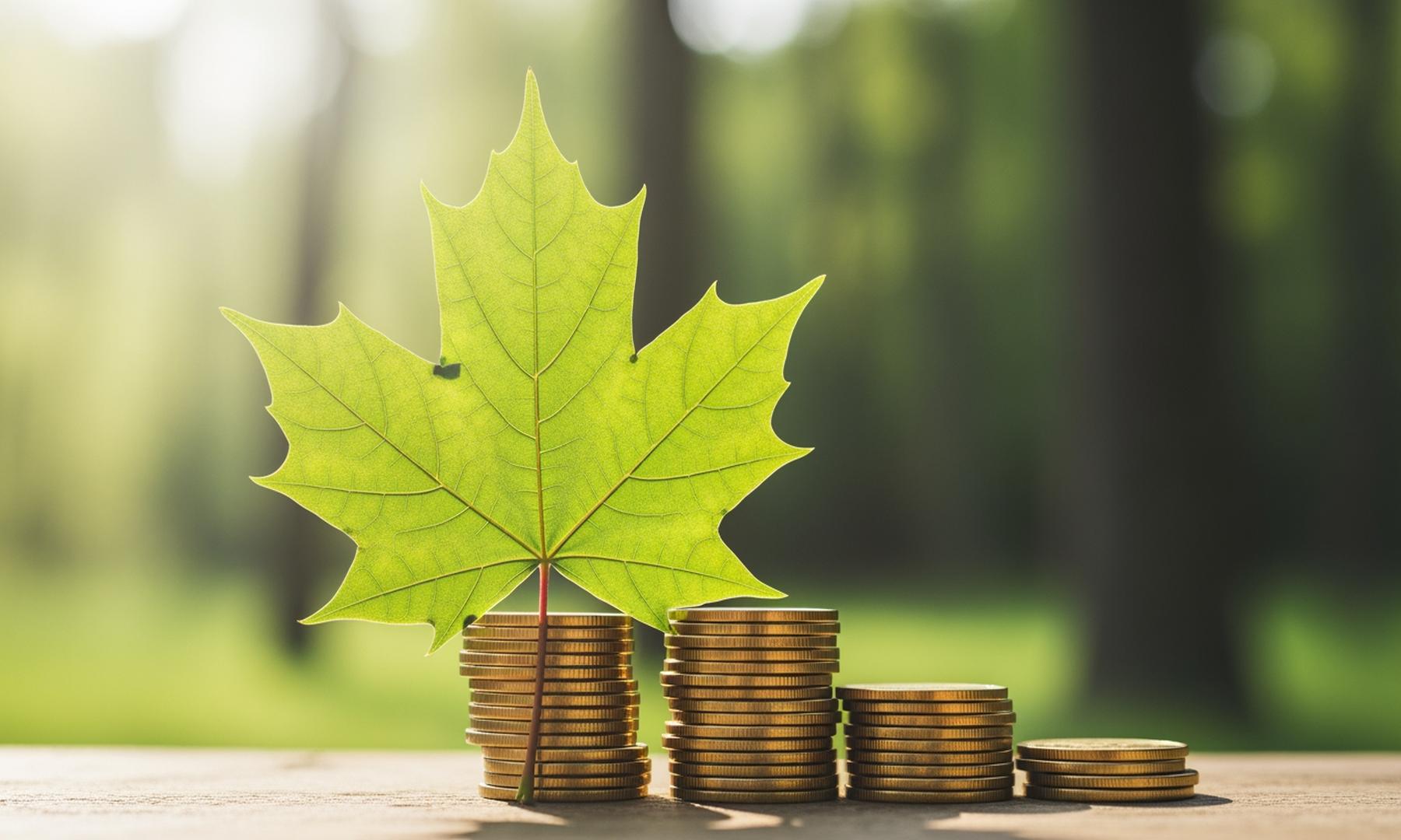 Vermont's Economic Development Incentives and Financing Programs