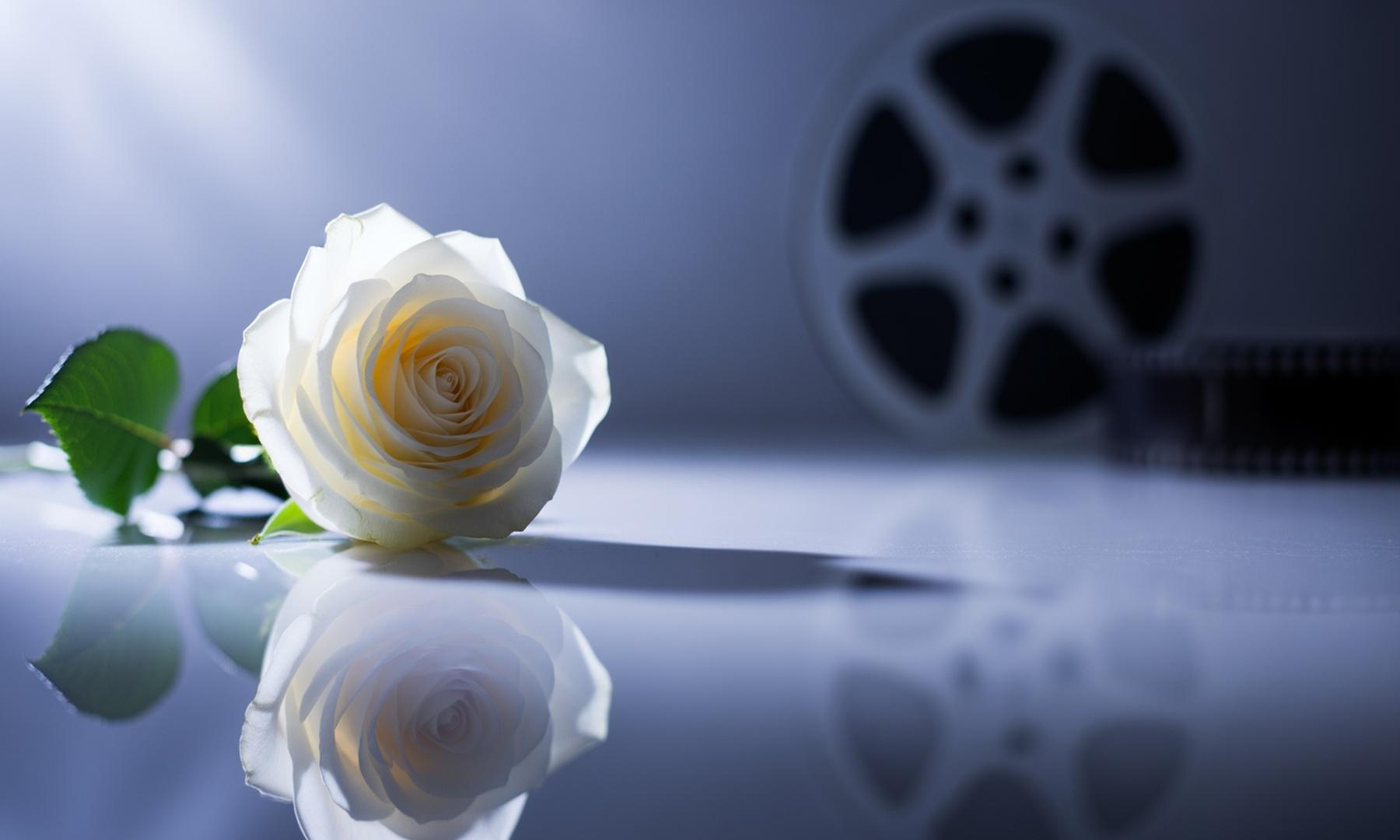 Diane Ladd, Oscar-Nominated 'Alice Doesn’t Live Here Anymore' Star and Mother of Laura Dern, Dies at 89