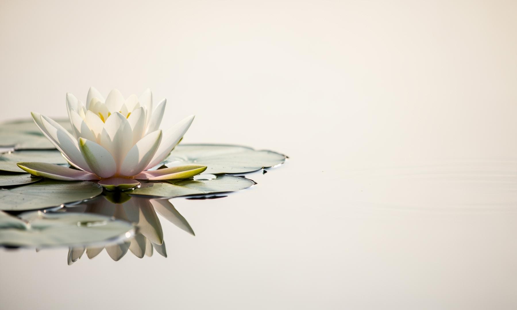 Kim Yong-nam, Former Ceremonial Leader of North Korea, Dies at 97