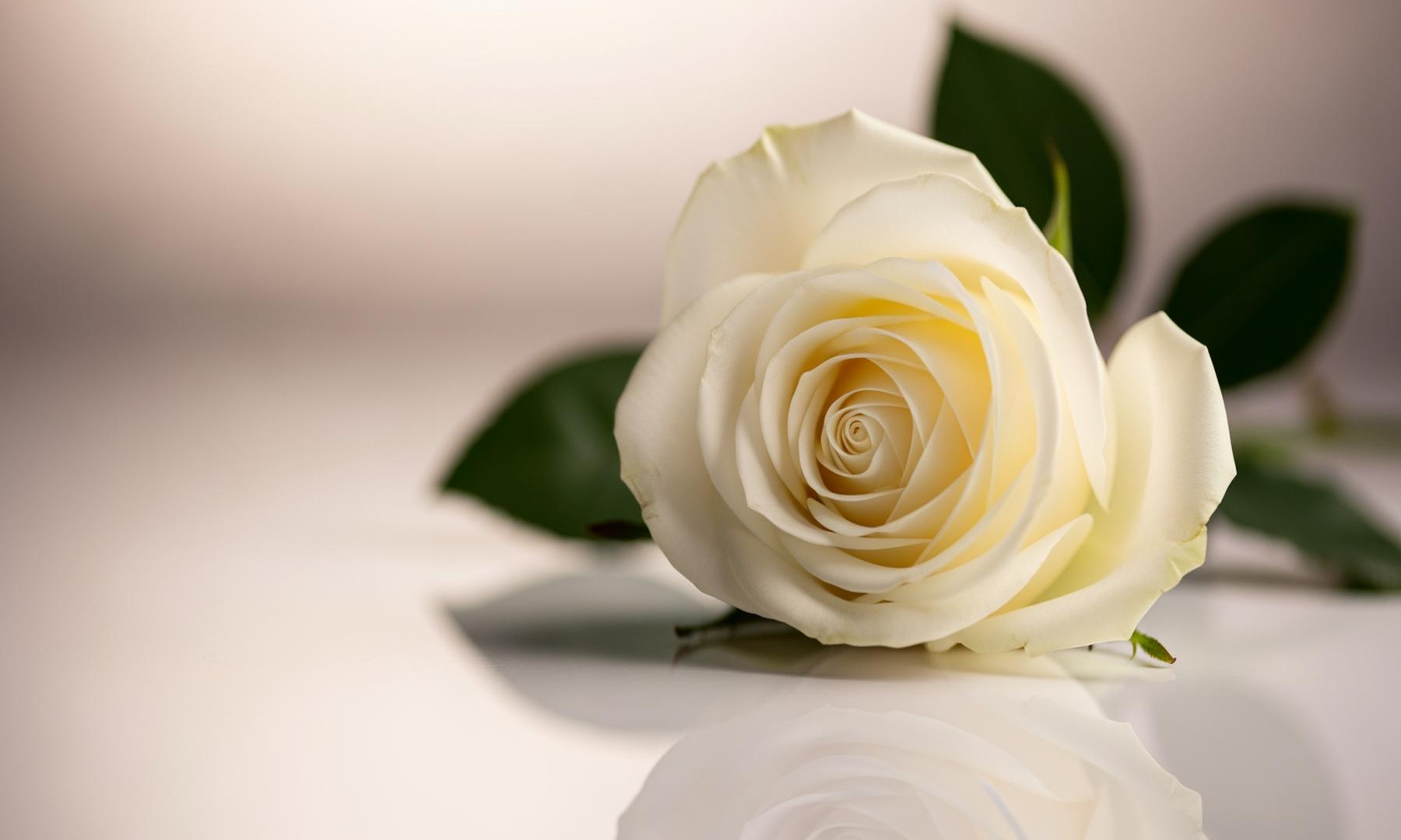 Ryan Seacrest Mourns Father Gary Seacrest's Death at 81 After Prostate Cancer Battle