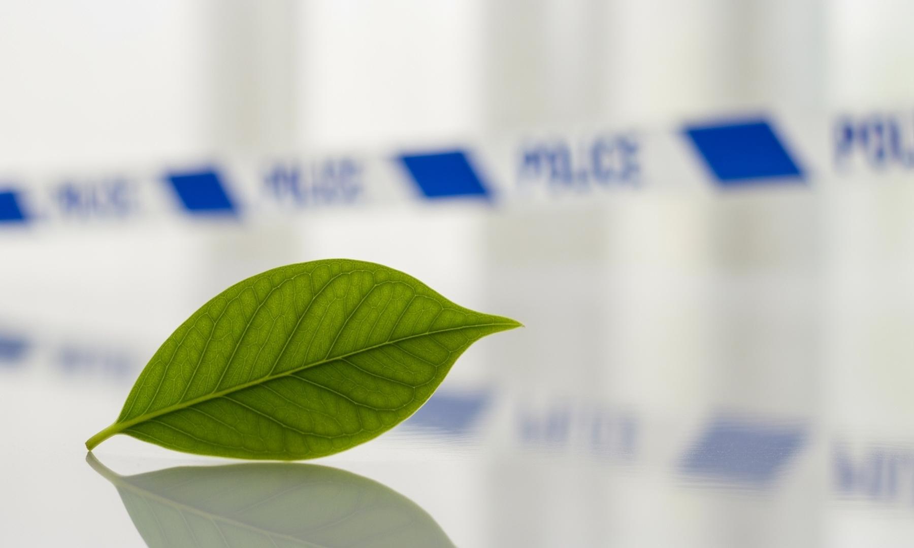 Unilever Agrees to Change Sustainability Claims Following Dutch Complaint