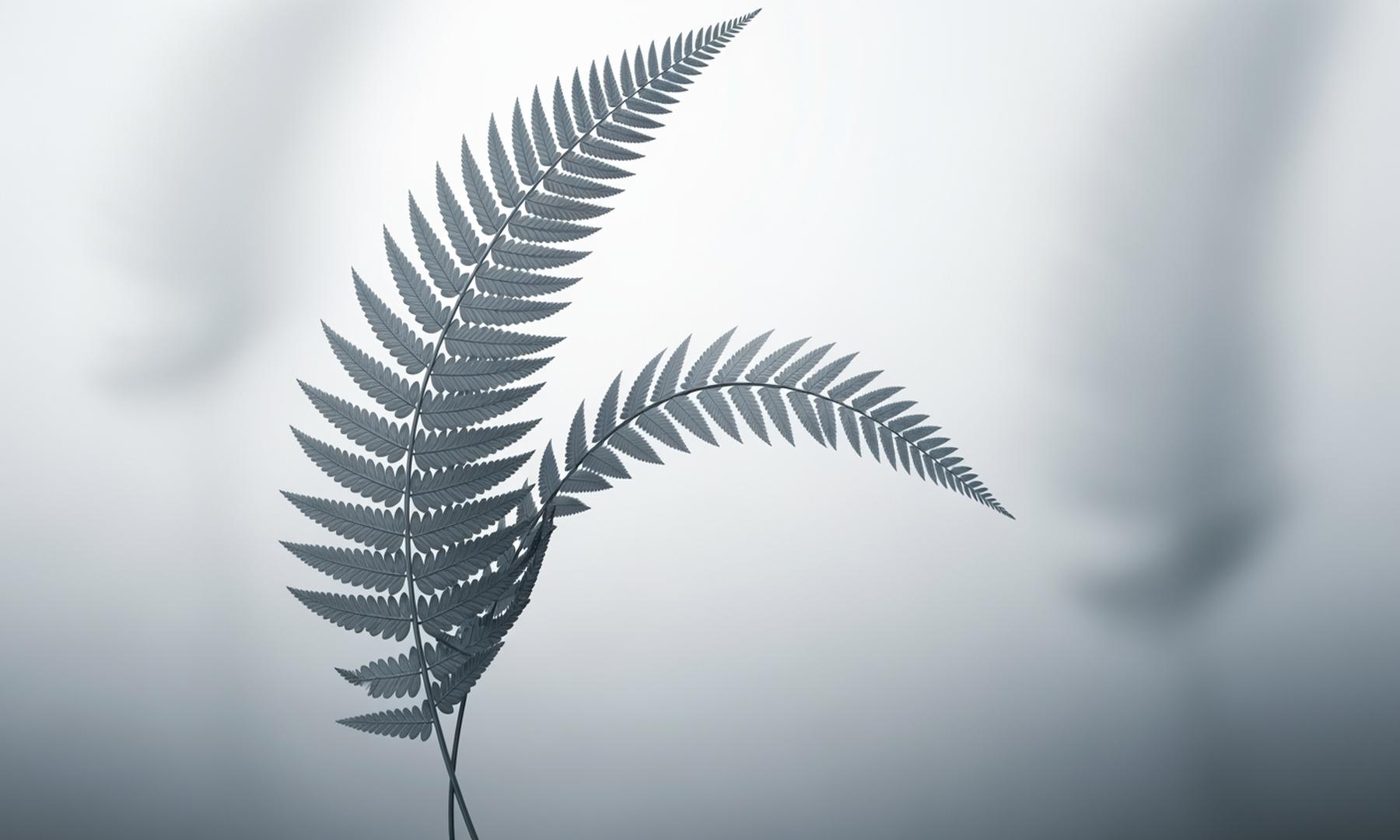 IAG New Zealand CEO Amanda Whiting to Return to Australia Amid Leadership Transition