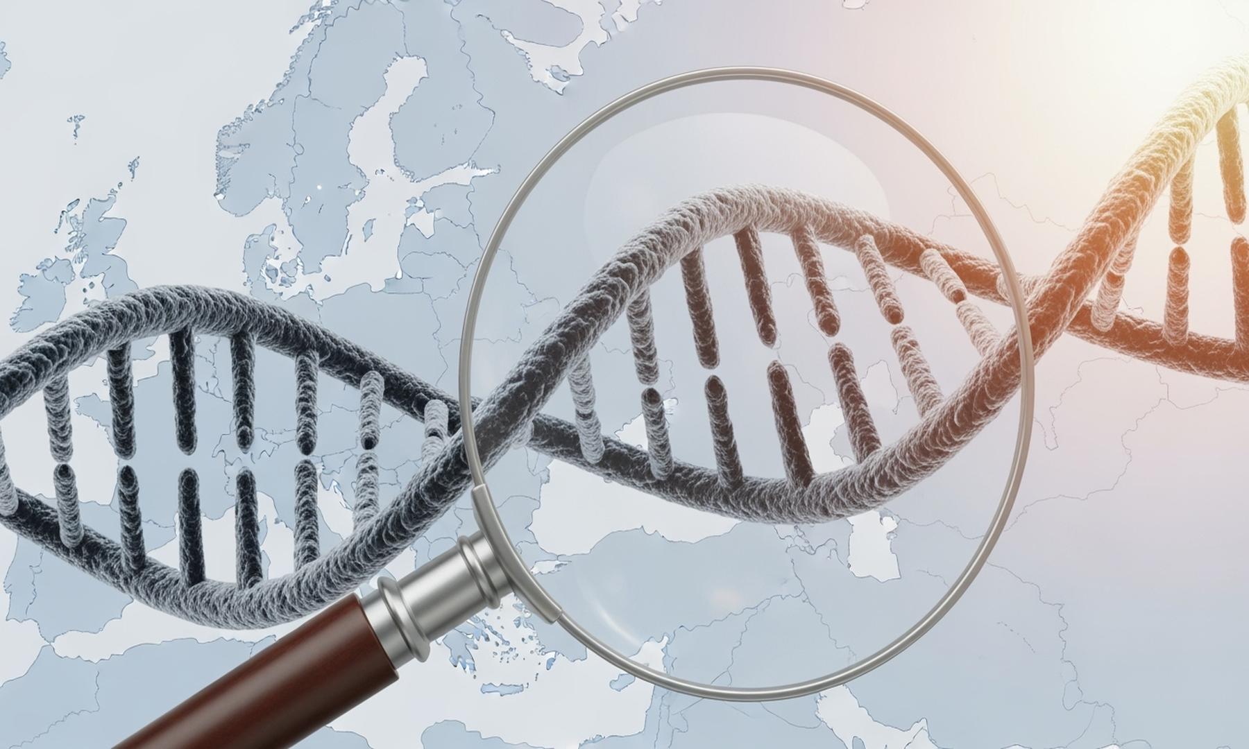 DNA Analysis Reveals Diseases Behind Napoleon's Army's Retreat from Russia
