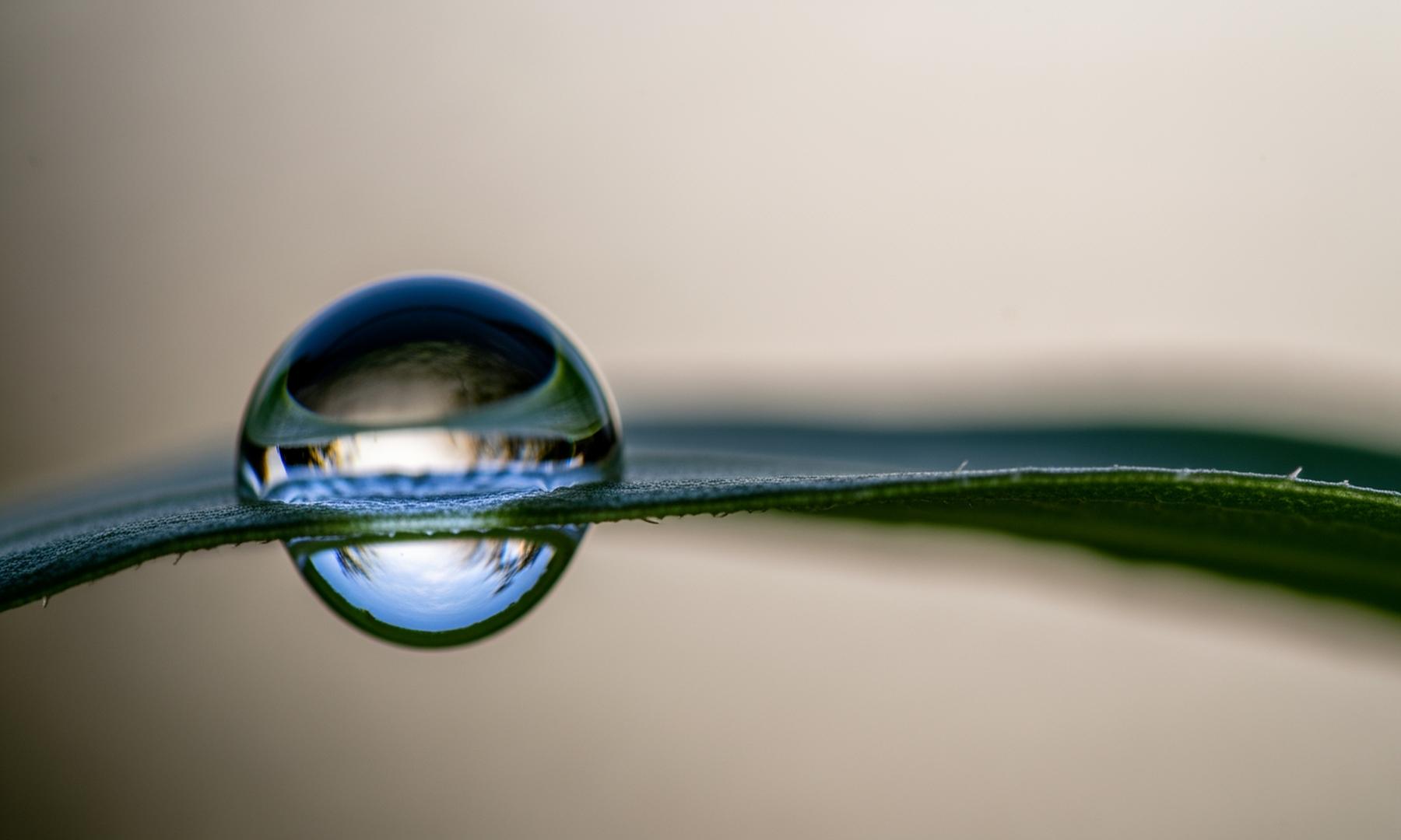 Cambridge and Meta Researchers Reveal Human Eye Can Discern Higher Resolution Than Previously Thought