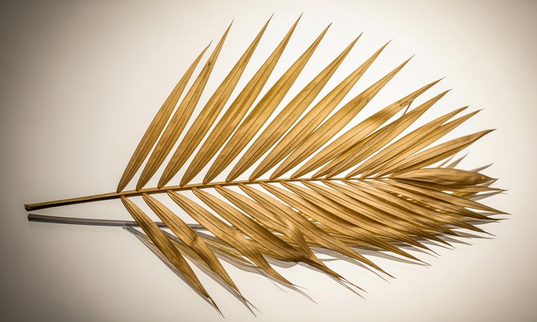 Kaia Gerber Discusses Disillusionment with Hollywood and Her Role in 'Palm Royale'