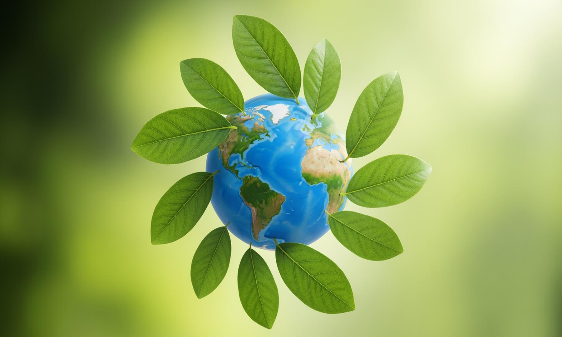 European Ministers Agree on Emissions Cut with Carbon Credits Ahead of COP30