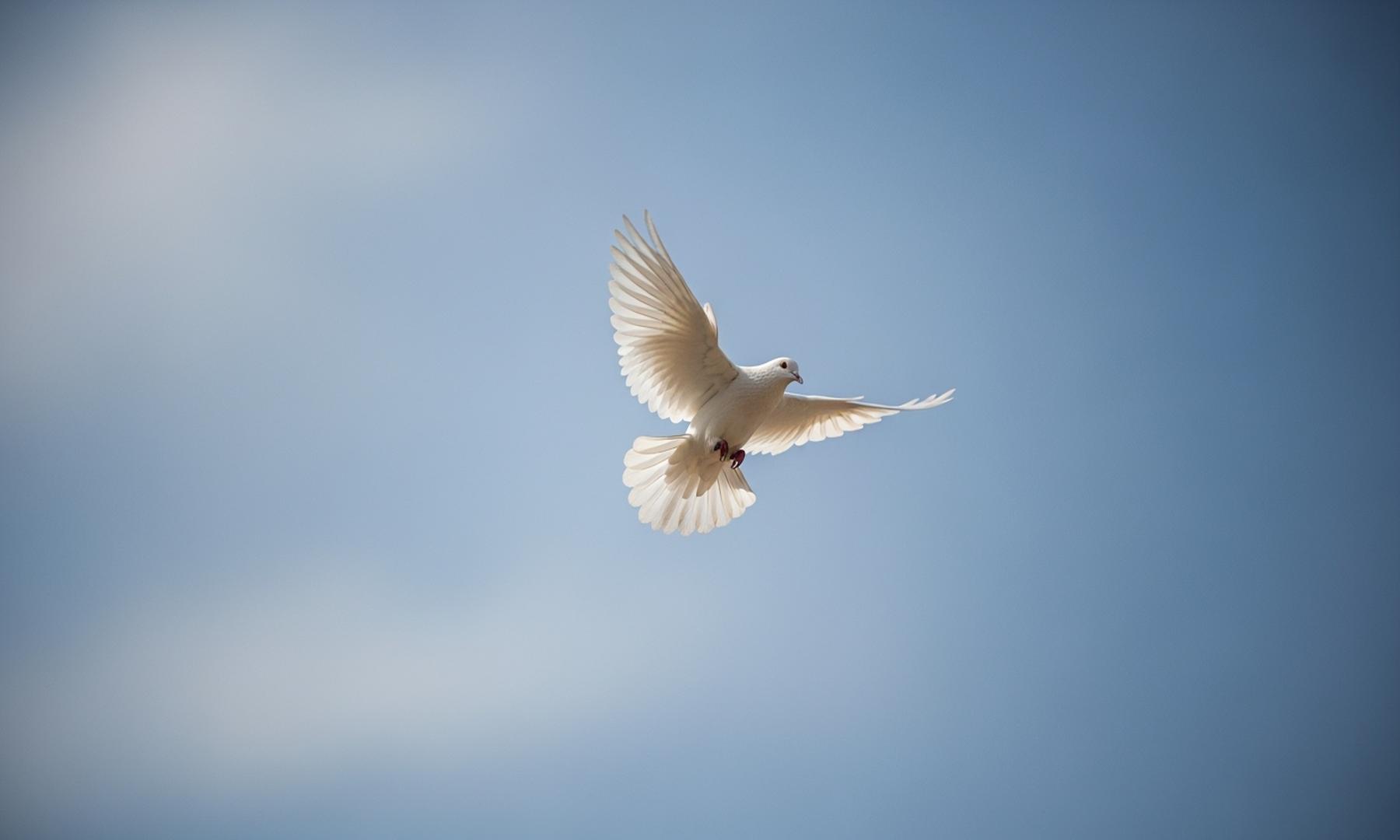 Israel Announces Ceasefire Resumption After Deadly Strikes in Gaza