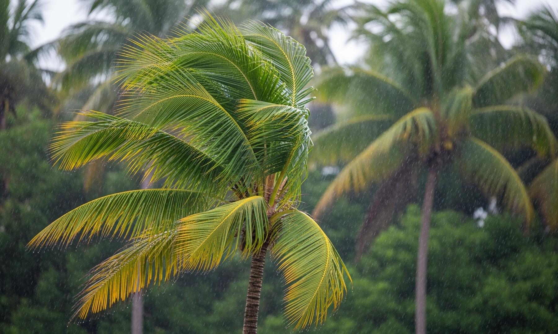 South Florida Weather: Continued Showers Expected to Bring Cooler Temperatures